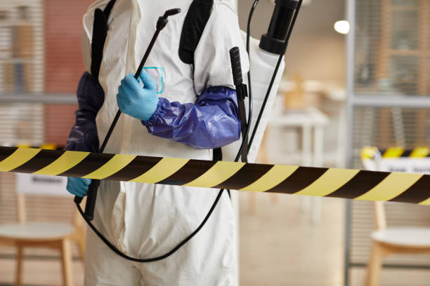 Professional Sewage Cleanup technician working in Coupeville, WA